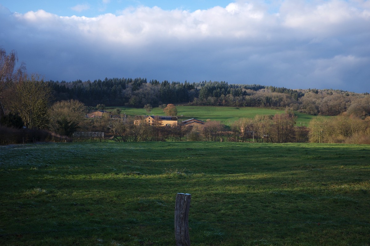 Stacks Image 176